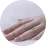 Ploštice